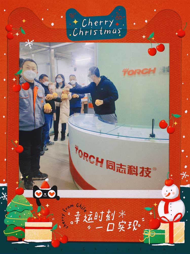 領跑行動企業(yè)